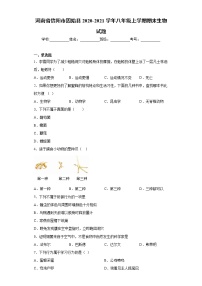 试卷 河南省信阳市固始县2020-2021学年八年级上学期期末生物试题（word版含答案）