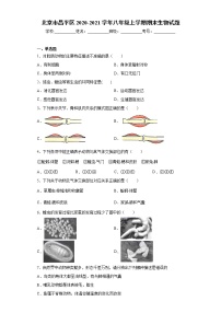 试卷 北京市昌平区2020-2021学年八年级上学期期末生物试题（word版含答案）