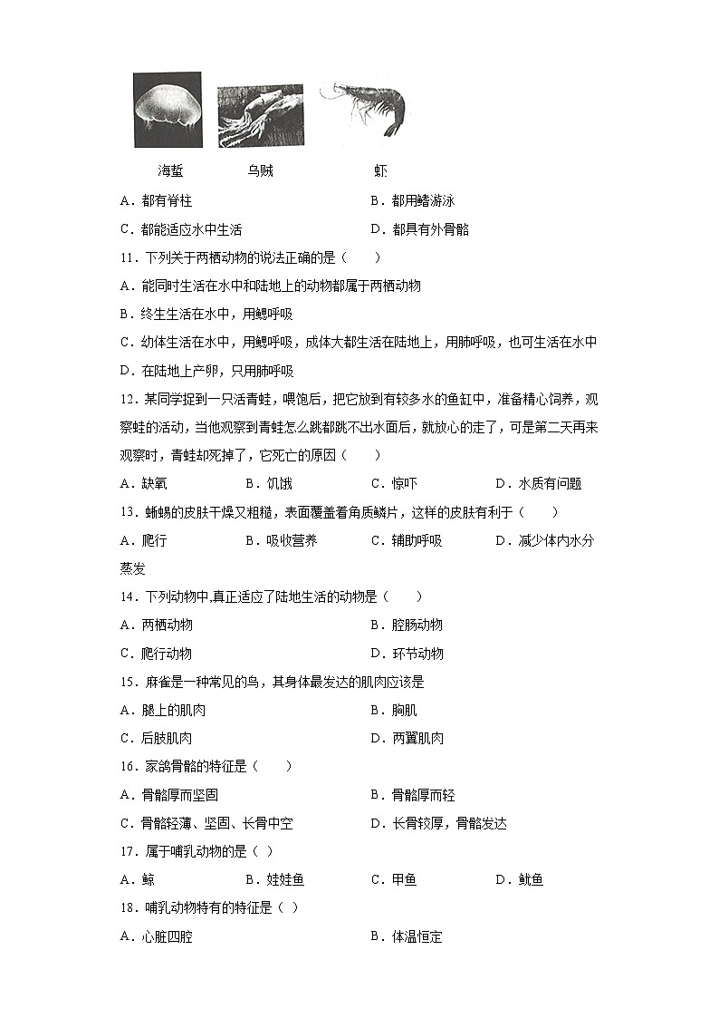 试卷 黑龙江省七台河市勃利县2020-2021学年八年级上学期期末生物试题（word版含答案）第2页