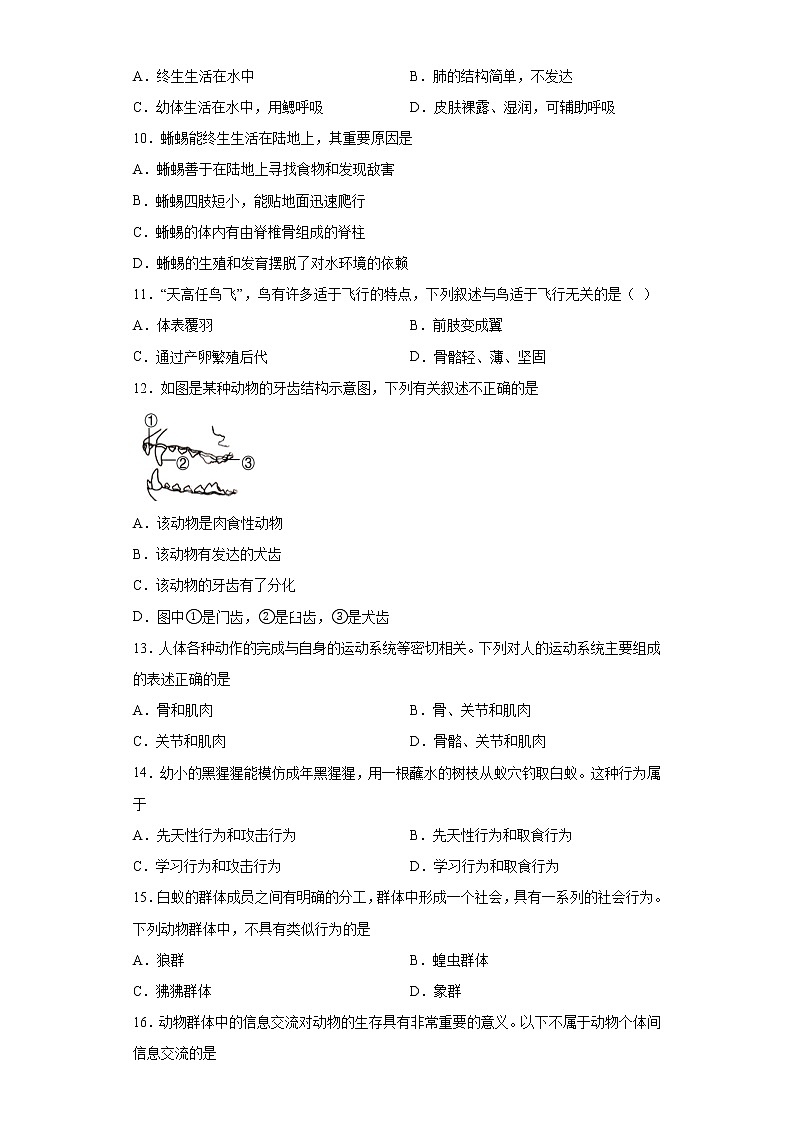 试卷 安徽省马鞍山市2020-2021学年八年级上学期期末生物试题 （word版含答案）02