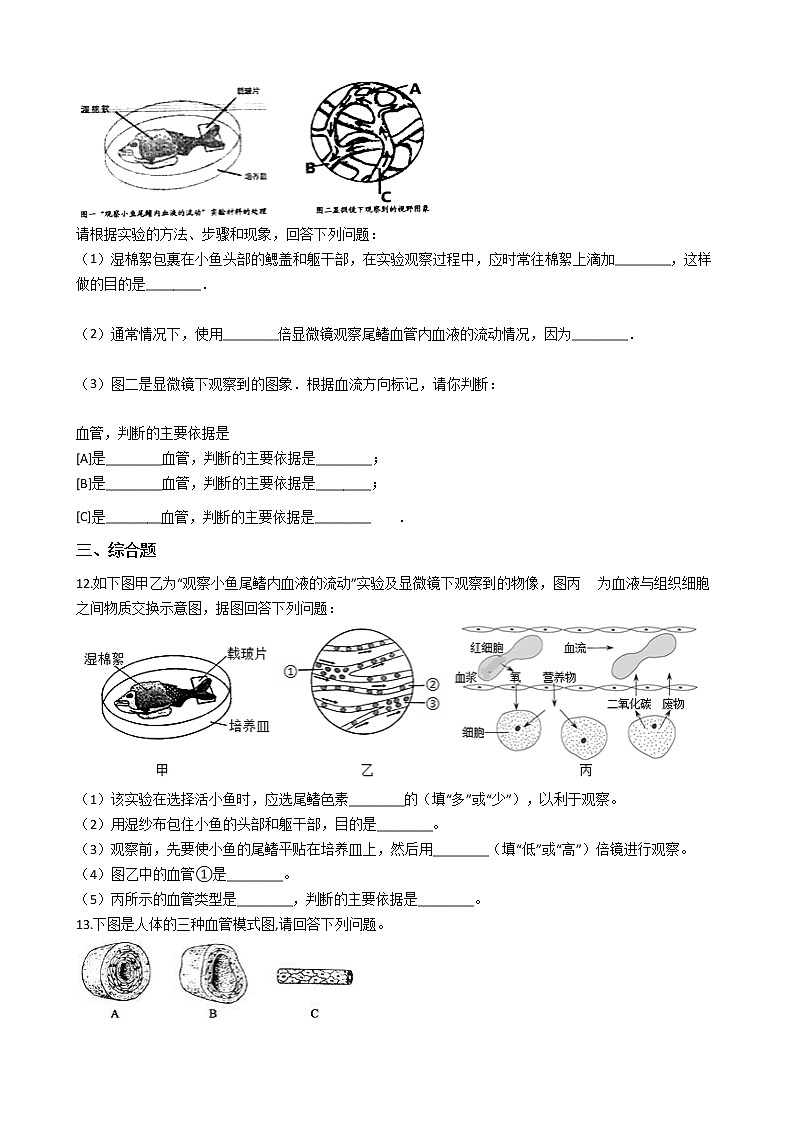 试卷 2020--2021人教版初中生物七年级下册4.4.2血流的管道--血管 同步测试03