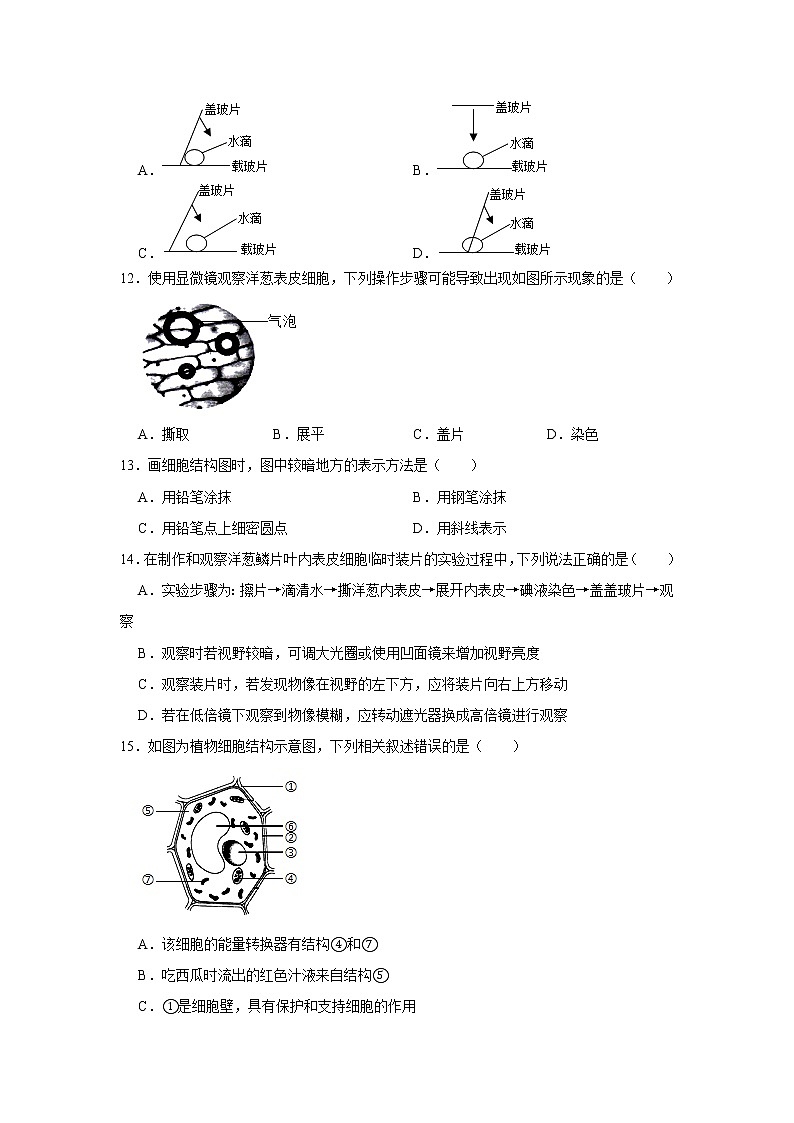 试卷 广东省生物中考总复习人教版生物七年级上册 第二单元 第1章 细胞是生命活动的基本单位（解析版）03