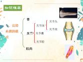 人教版八年级生物上册同步课件《动物的运动和行为》