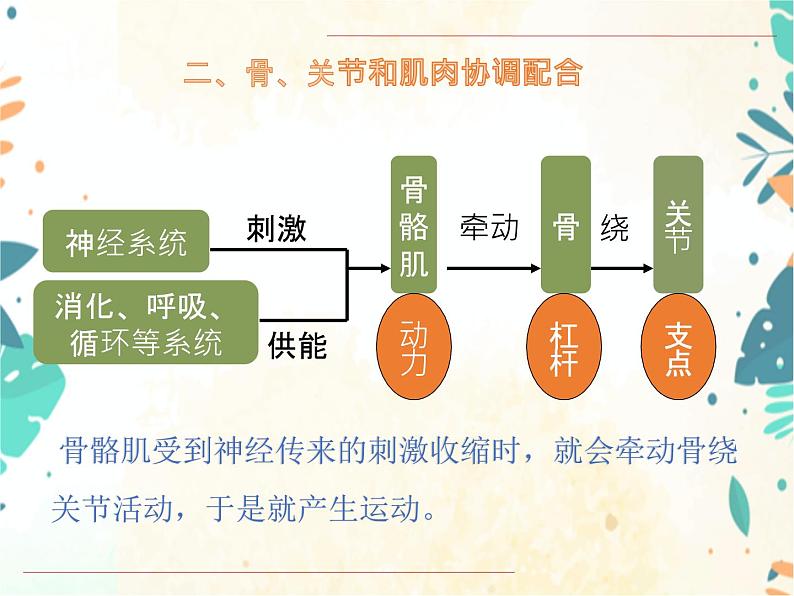 人教版八年级生物上册同步课件《动物的运动和行为》05