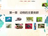 人教版生物八年级上册同步课件《腔肠动物和扁形动物》