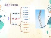 人教版生物八年级上册同步课件《腔肠动物和扁形动物》