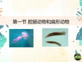 人教版生物八年级上册同步课件《腔肠动物和扁形动物》