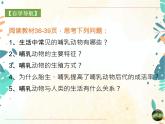 人教版生物八年级上册同步课件《哺乳动物》
