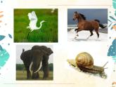 人教版生物八年级上册同步课件《动物的运动》