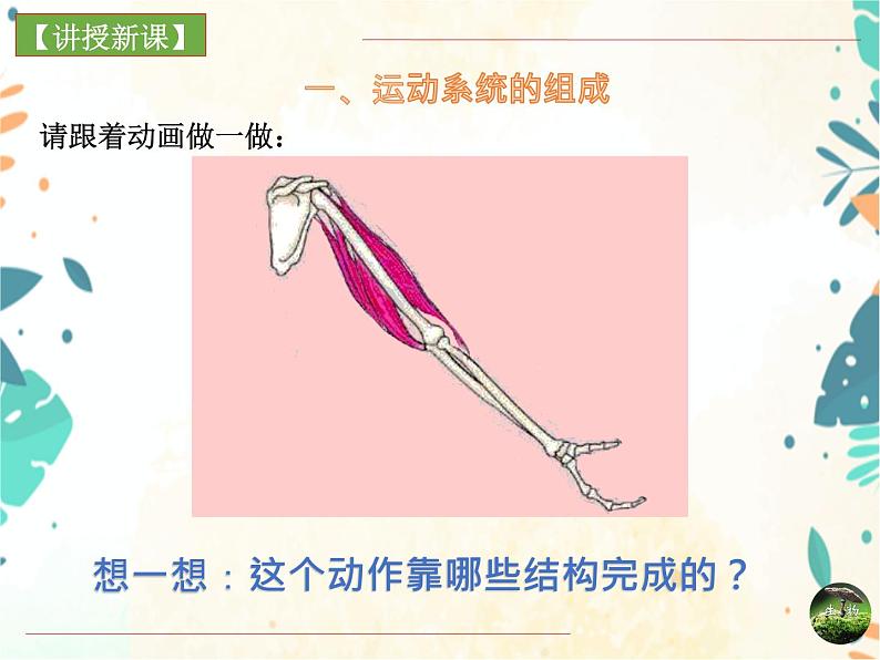 人教版生物八年级上册同步课件《动物的运动》06