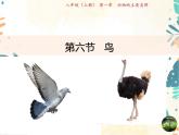 人教版生物八年级上册同步课件《鸟》