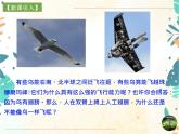 人教版生物八年级上册同步课件《鸟》