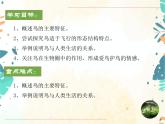 人教版生物八年级上册同步课件《鸟》