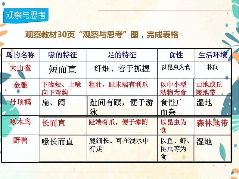 人教版生物八年级上册同步课件《鸟》05