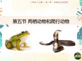 人教版生物八年级上册同步课件《两栖动物和爬行动物》