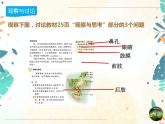 人教版生物八年级上册同步课件《两栖动物和爬行动物》