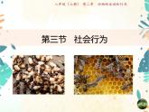 人教版生物八年级上册同步课件《社会行为》