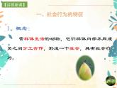 人教版生物八年级上册同步课件《社会行为》