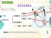人教版生物八年级上册同步课件《动物在生物圈中的作用》