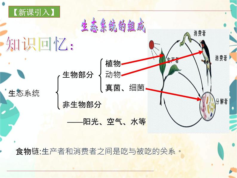 人教版生物八年级上册同步课件《动物在生物圈中的作用》03