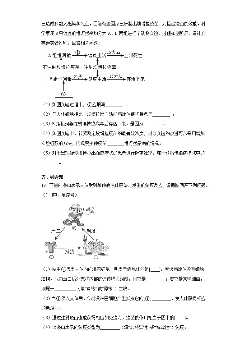 济南版七年级下册第六章《免疫与健康测试卷》（含答案）03