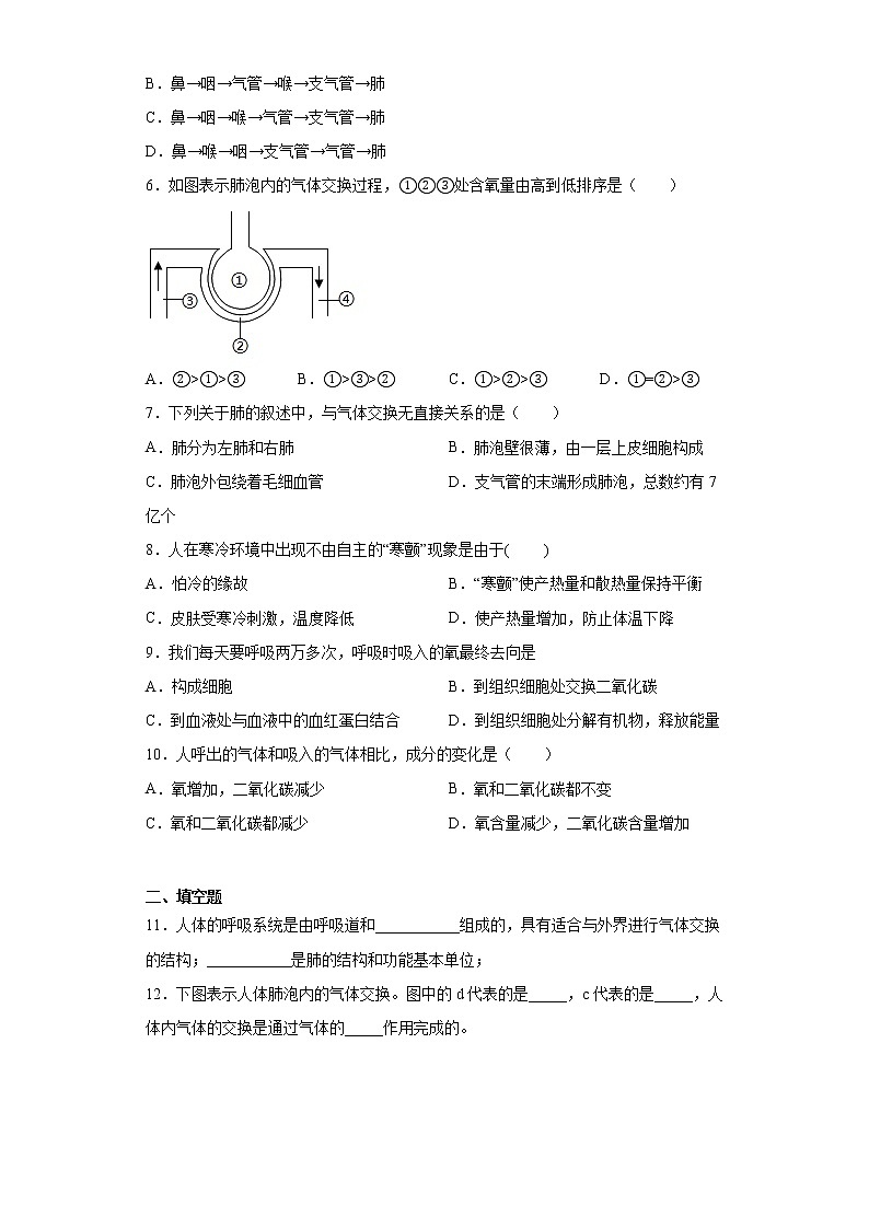 济南版生物七年级下册第二章《人体的生活需要空气》测试卷 （含答案）02