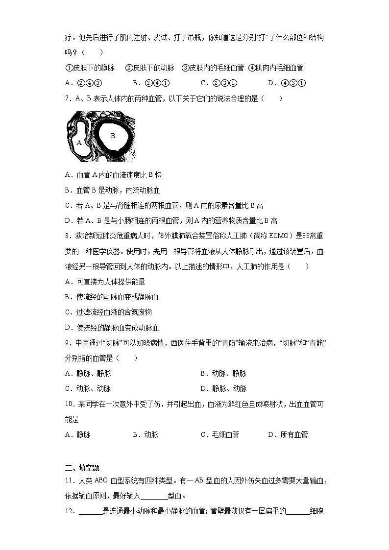 济南版生物七年级下册《人体内的物质运输》测试卷（含答案）第2页