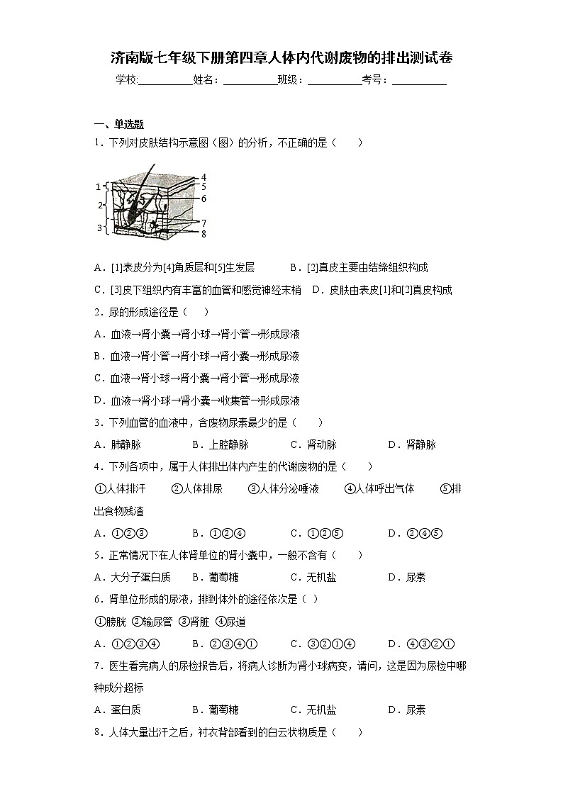 济南版生物七年级下册《人体内代谢废物的排出》测试卷（含答案）01