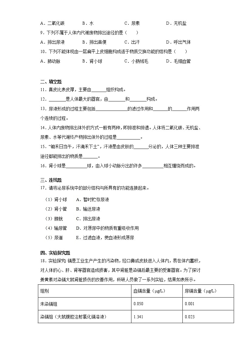 济南版生物七年级下册《人体内代谢废物的排出》测试卷（含答案）02