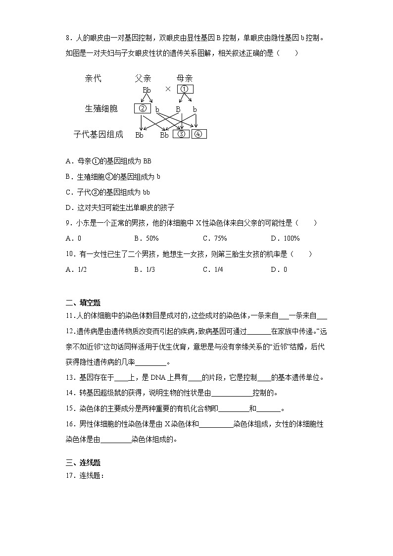 苏科版八年级下册第22章《生物的遗传与变异》测试卷（含答案）02