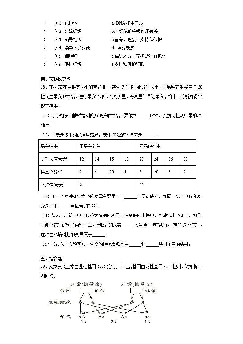 苏科版八年级下册第22章《生物的遗传与变异》测试卷（含答案）03