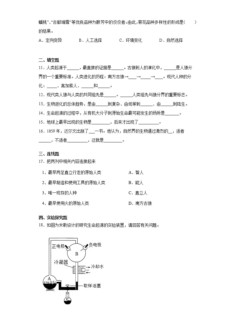 苏科版八年级下册第23章《生物的进化》测试卷（含答案）第2页