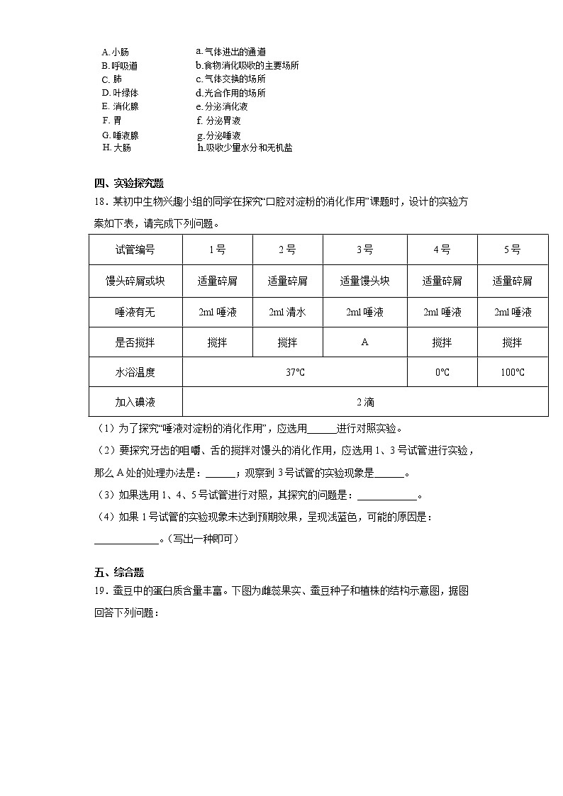 北师大版生物七年级下册第八章《人体的营养》测试卷（含答案）03