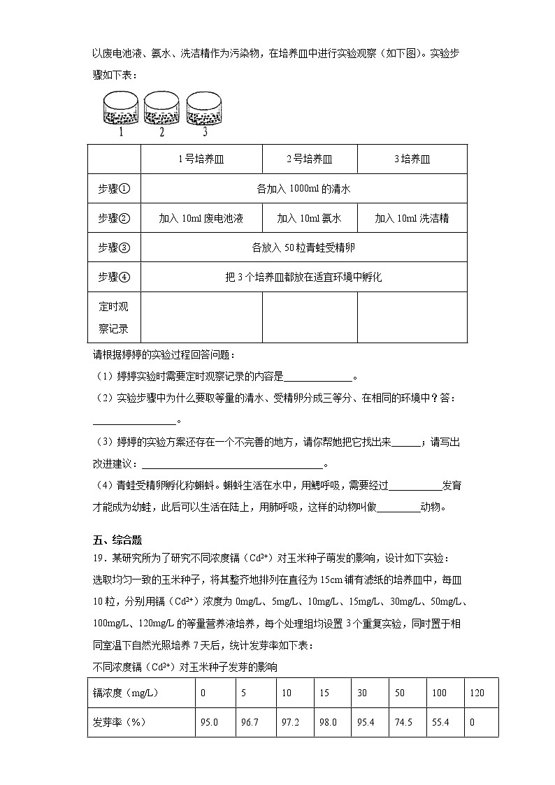 北师大版生物七年级下册第十四章《人在生物圈中的义务》测试卷（含答案）第3页