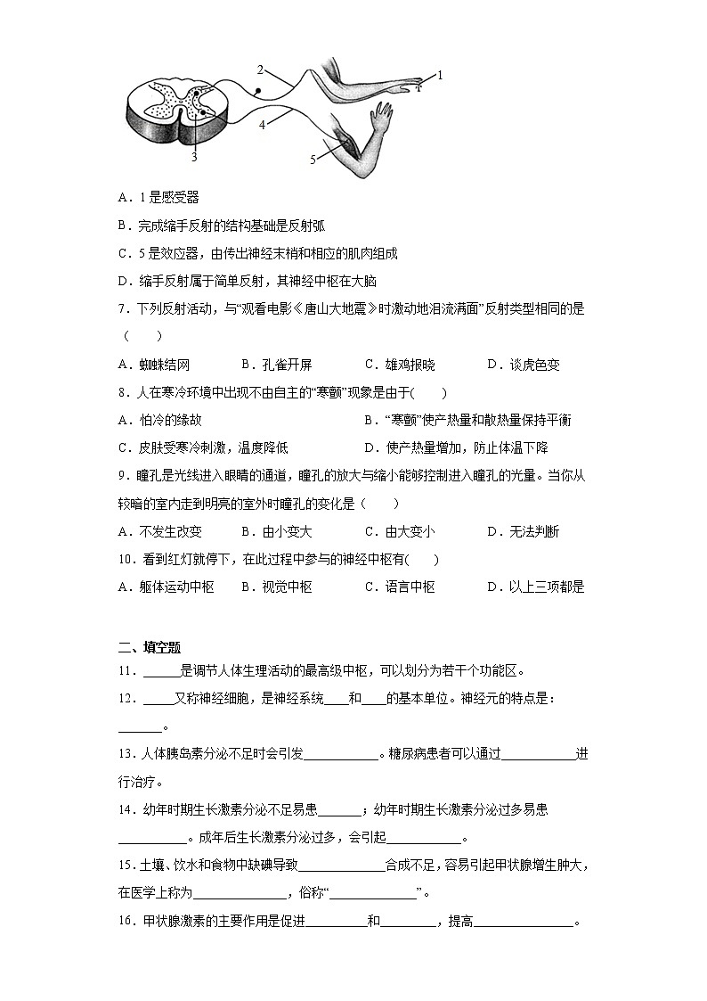 北师大版生物七年级下册第十二章《人体的自我调节》测试卷（含答案）02