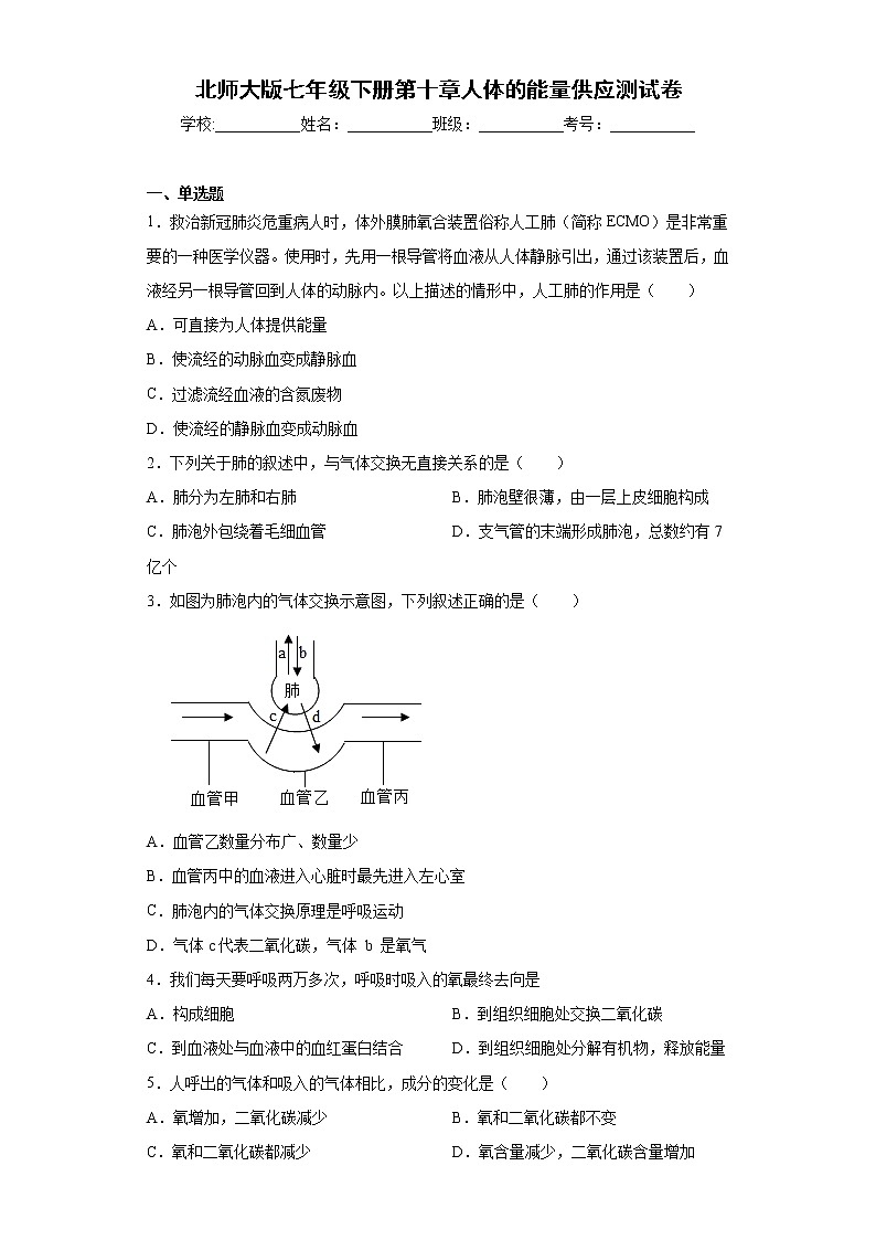 北师大版生物七年级下册第十章《人体的能量供应》测试卷（含答案）01