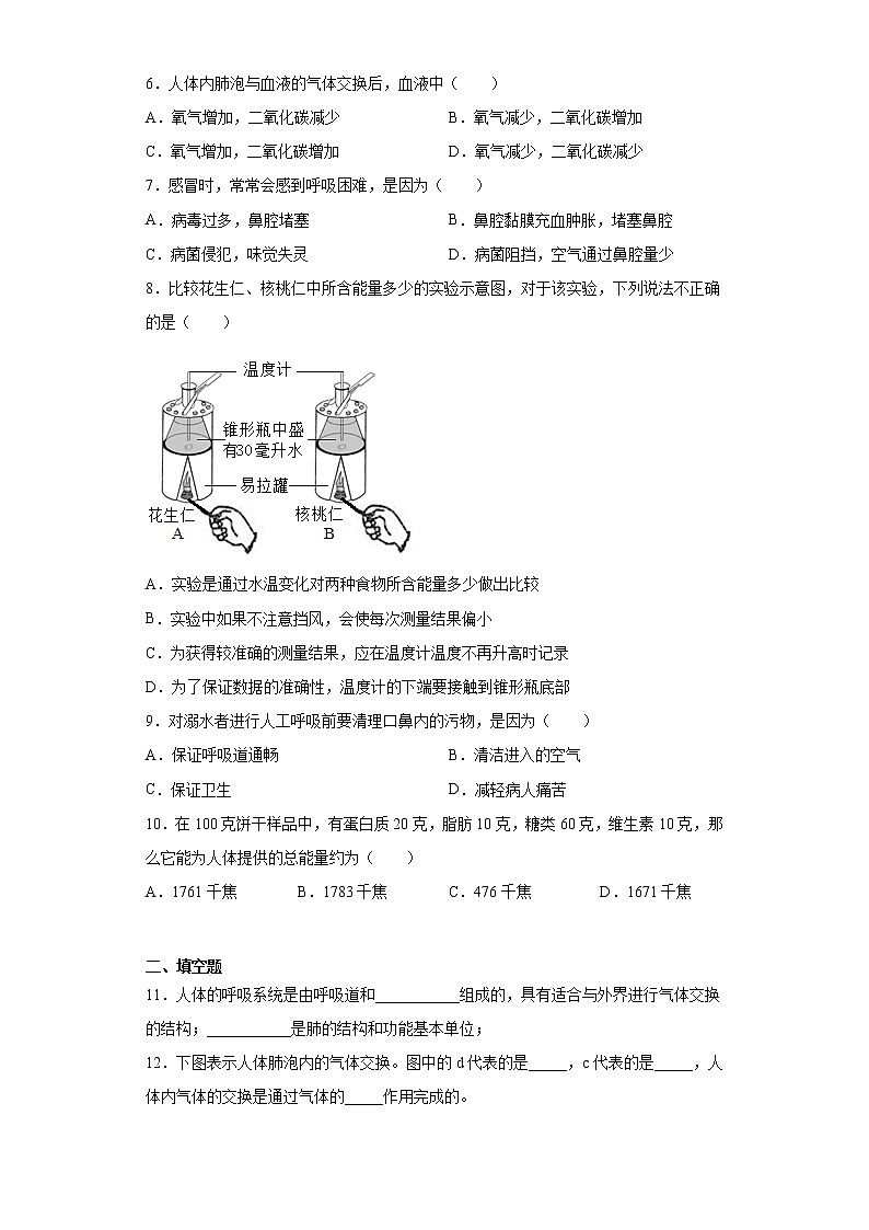 北师大版生物七年级下册第十章《人体的能量供应》测试卷（含答案）02