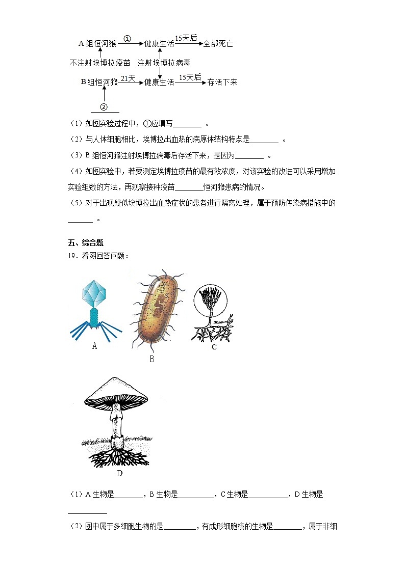 2020-2021学年鲁科版生物七年级下册第六单元第二章《病毒》测试卷（含答案）03