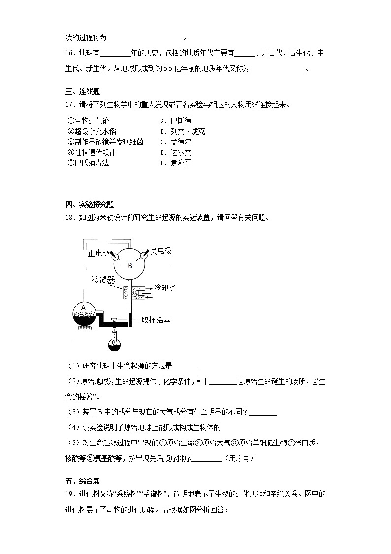 2020-2021学年人教版生物八年级下册第七单元第三章生命《起源与生物进化》测试卷（含答案）03