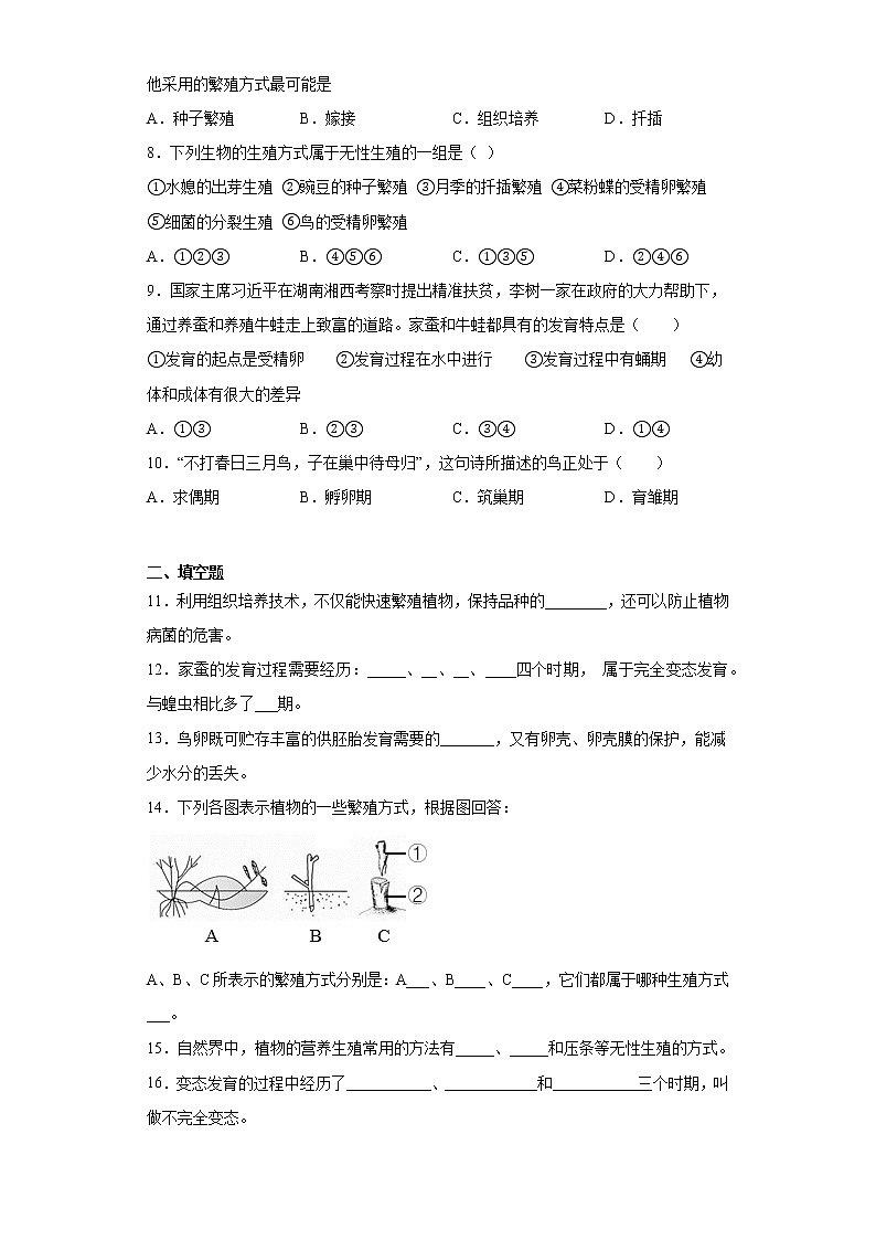 2020-2021学年人教版生物八年级下册第七单元第一章《生物的生殖与发育》测试卷（含答案）02