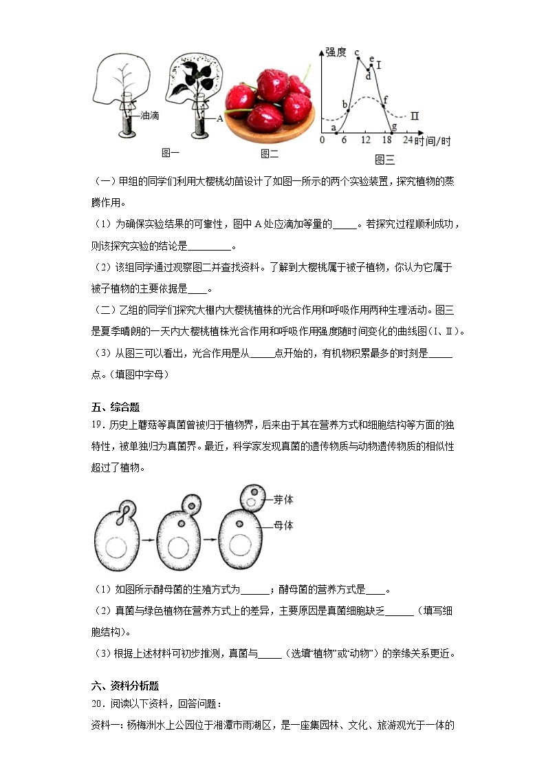 2020-2021学年京改版生物 八年级下册第十三章《生物的多样性》测试卷（含答案）第3页