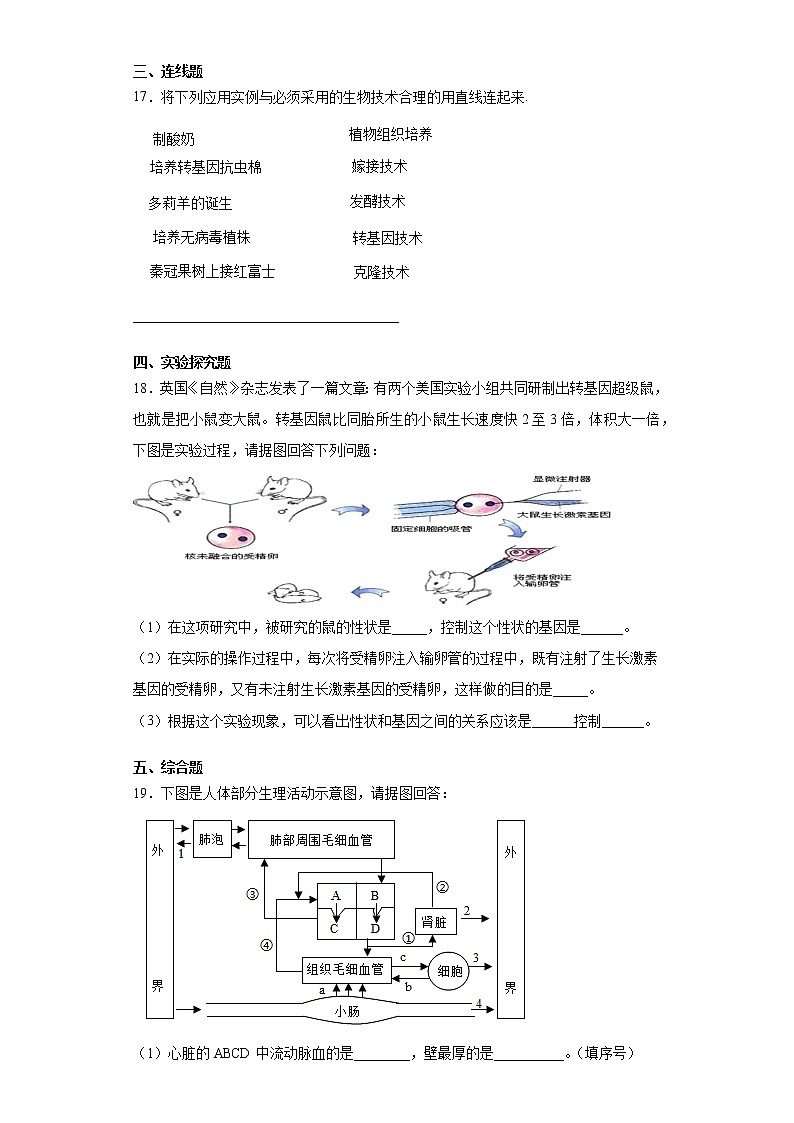2020-2021学年苏教版生物八年级下册 第二十四章《现代生物技术》测试卷（含答案）03