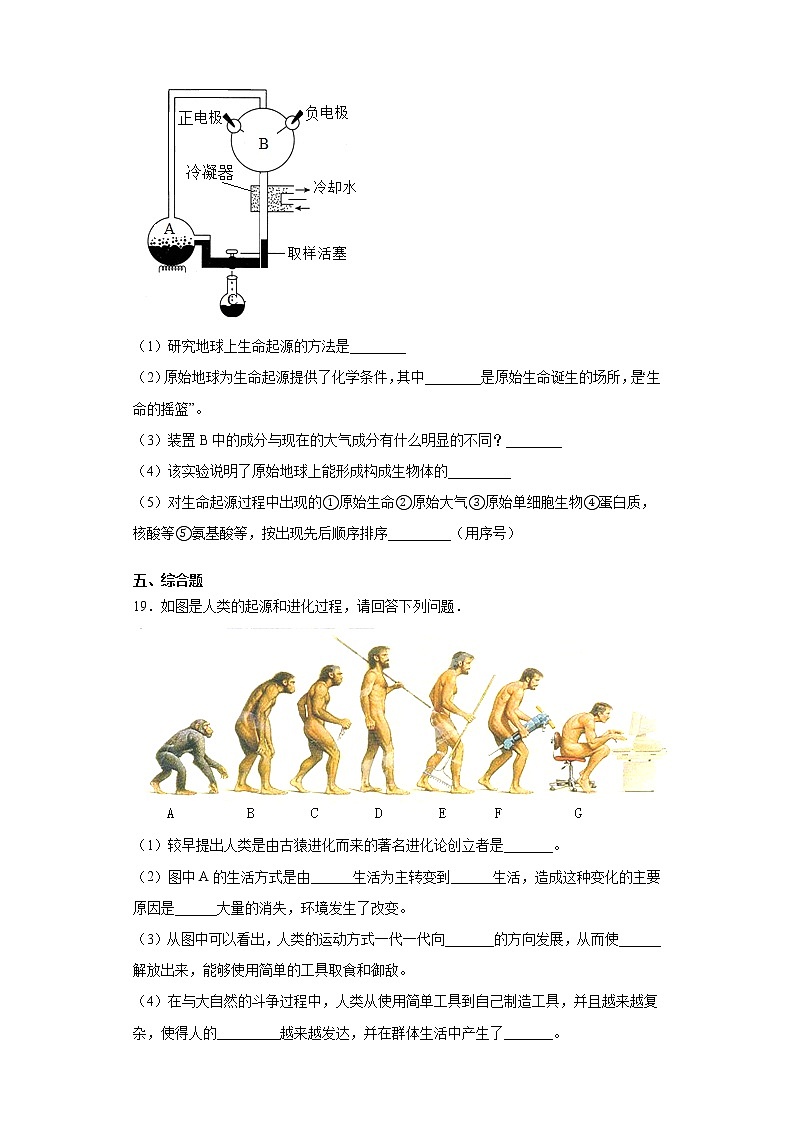北师大版生物八年级下册 第七单元第21章《生命的发生与发源》测试卷（含答案）03