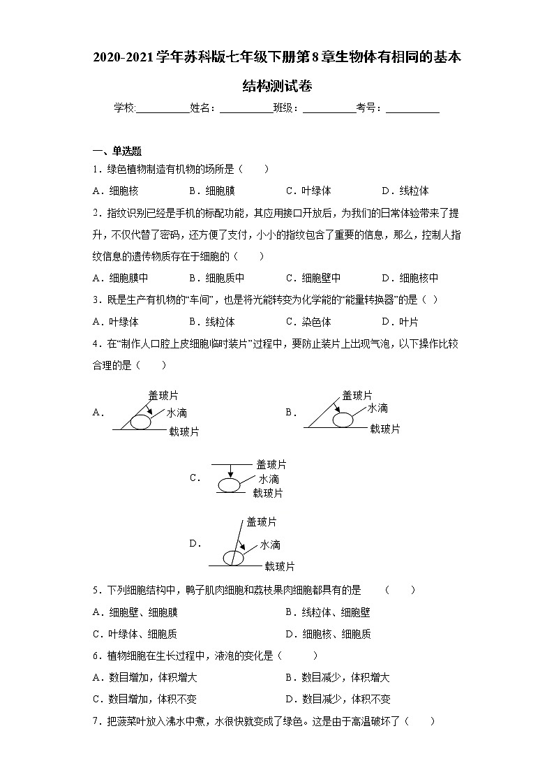 苏科版生物七年级下册第8章《生物体有相同的基本结构》测试卷（含答案）01
