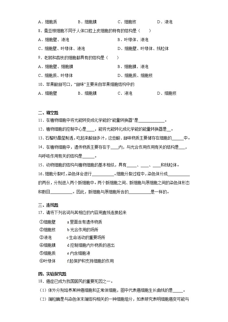 苏科版生物七年级下册第8章《生物体有相同的基本结构》测试卷（含答案）02