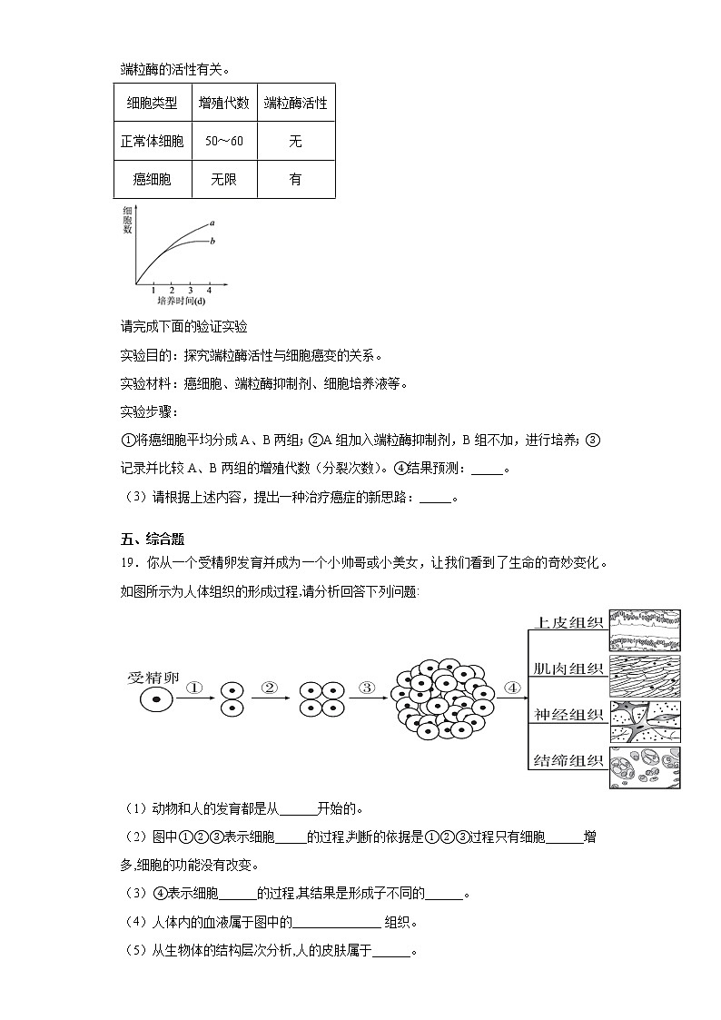 苏科版生物七年级下册第8章《生物体有相同的基本结构》测试卷（含答案）03