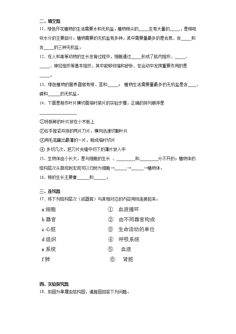 苏科版生物七年级下册第9章 《生物体有相似的结构层次》测试卷（含答案）02