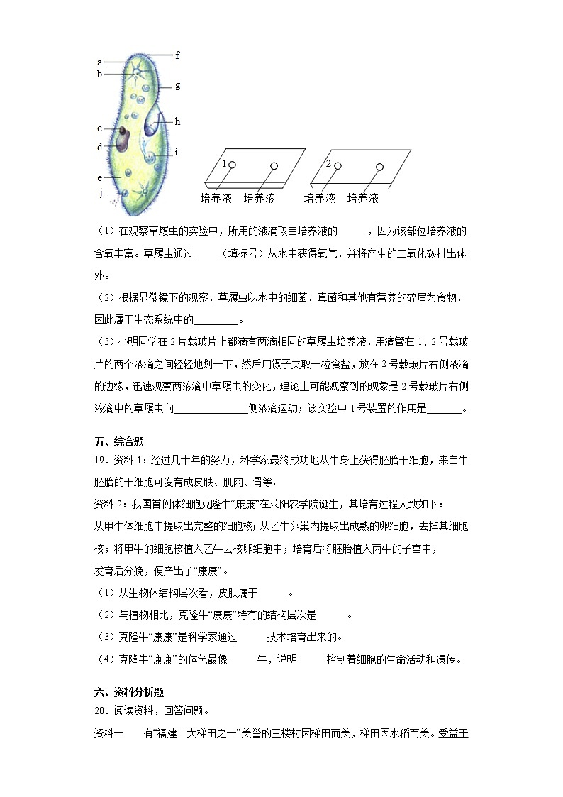 苏科版生物七年级下册第9章 《生物体有相似的结构层次》测试卷（含答案）03