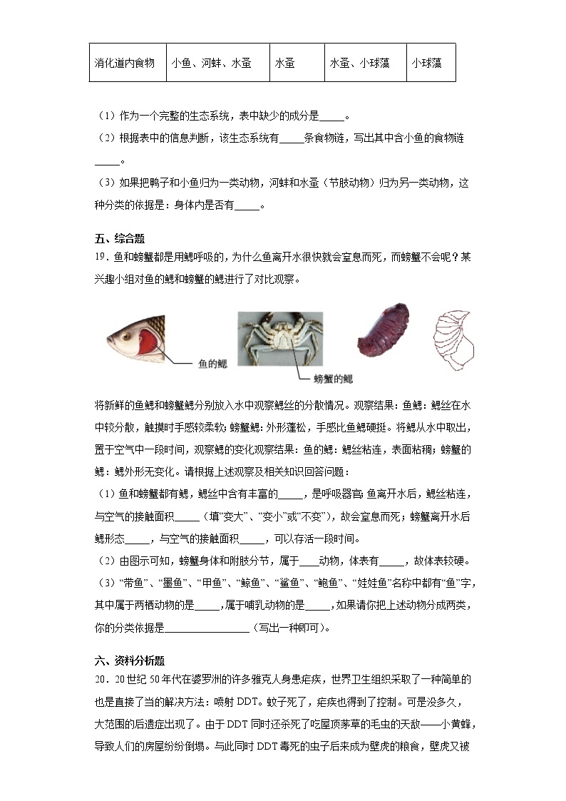 苏科版生物七年级下册第14章 《生物的命名与分类》测试卷（含答案）03