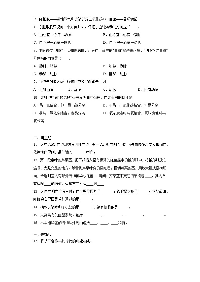 2020-2021学年京改版生物七年级下册第五章《生物体内的物质运输》测试卷（含答案）02